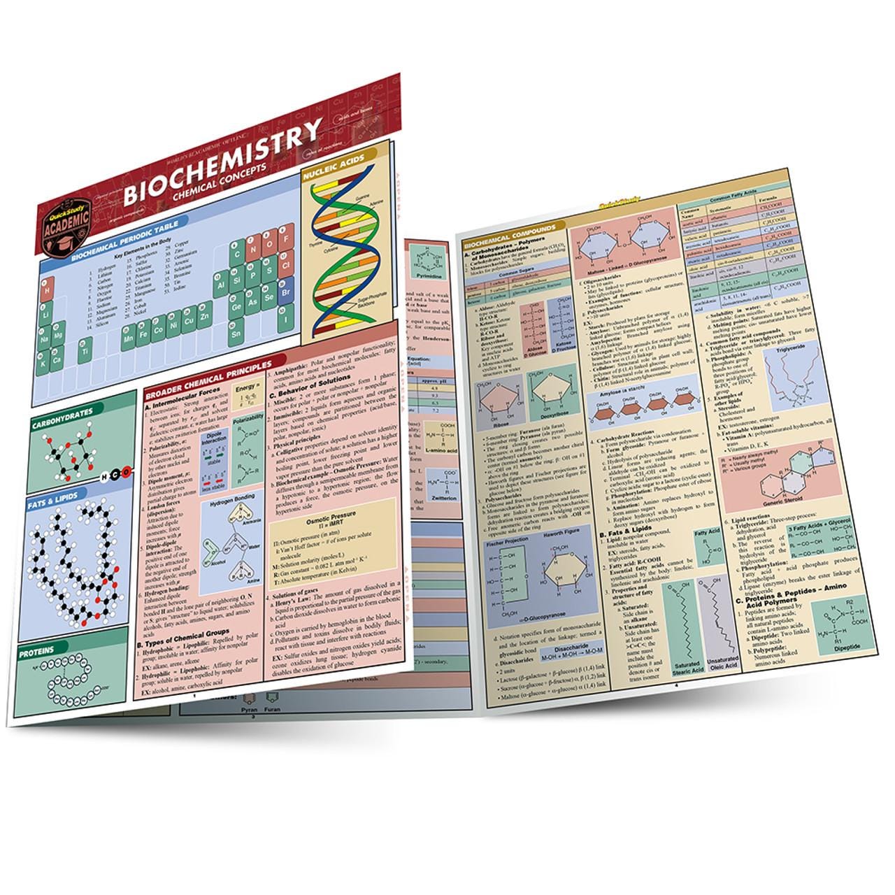 QuickStudy | Biology & Biology 2 Study Guides