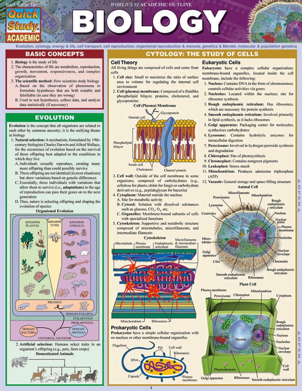 QuickStudy | Biology & Biology 2 Study Guides